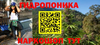 дживик Сланцы