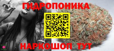 дживик Сланцы