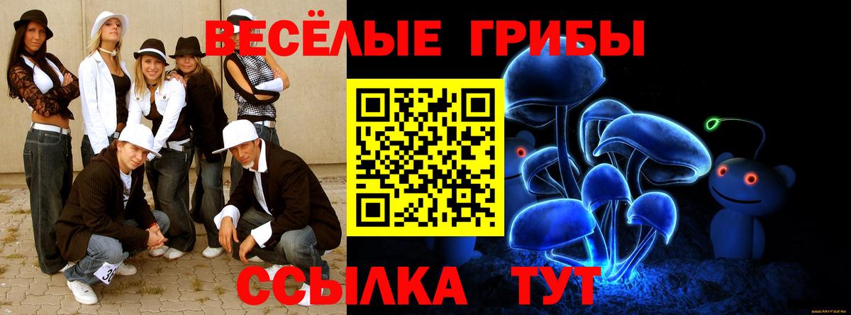 Псилоцибиновые грибы Psilocybe Оренбург