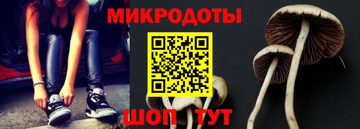 Оренбург  Псилоцибиновые грибы Psilocybe  Вход с VPN 